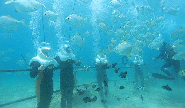 红餐研究院:2024东南亚菜发展报告(附下载)